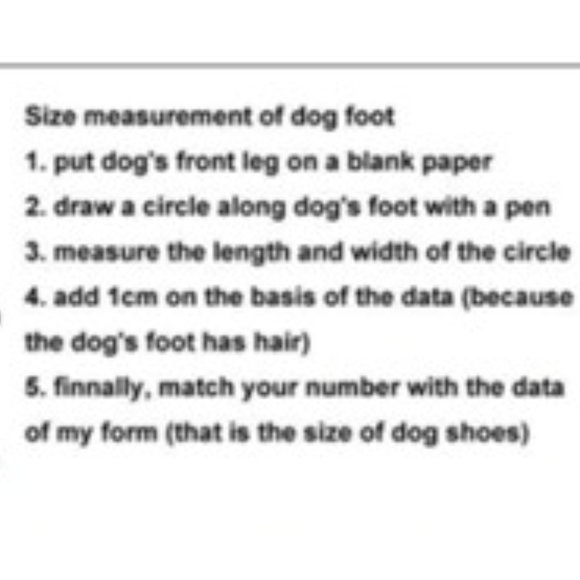 Petco All-Weather Paw Protect Dog Shoes - Picture 9 of 9